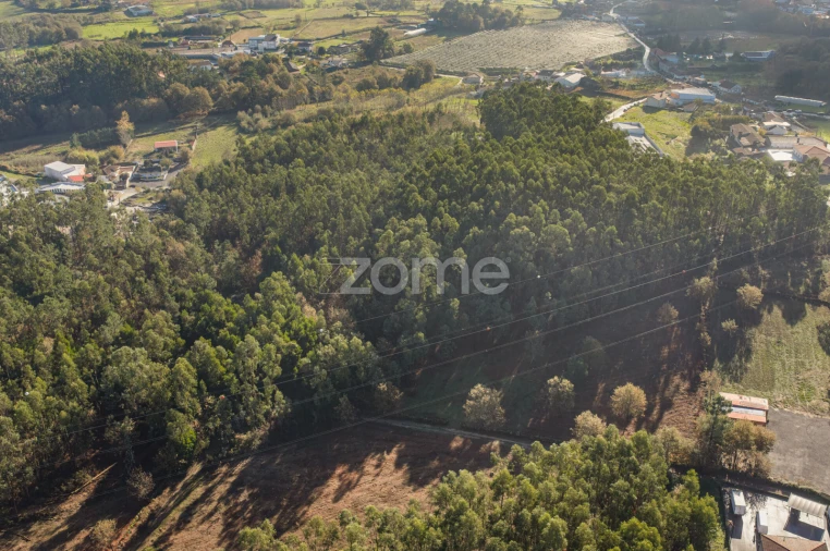 Terreno para Venda em Carvalhosa Foto 5