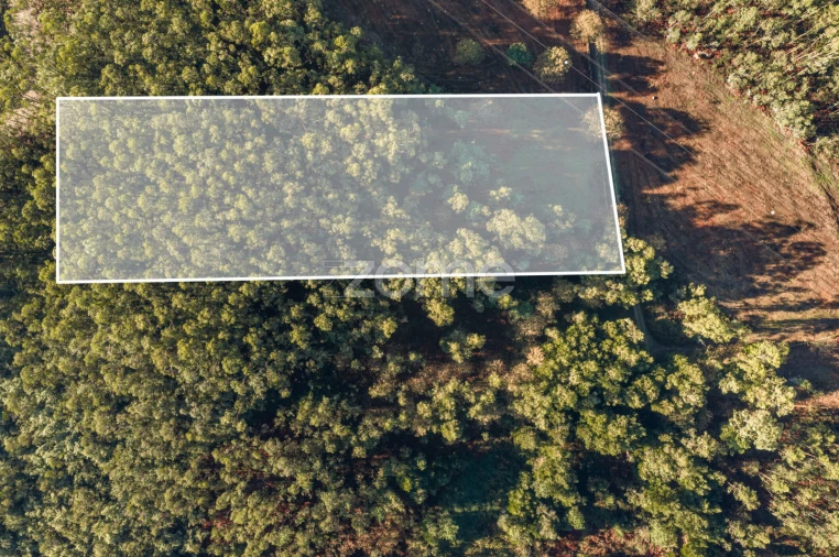 Terreno para Venda em Carvalhosa Foto 15