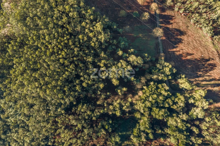 Terreno para Venda em Carvalhosa Foto 9