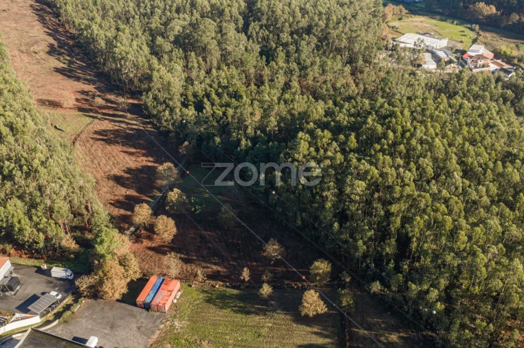 Terreno para Venda em Carvalhosa Foto 11