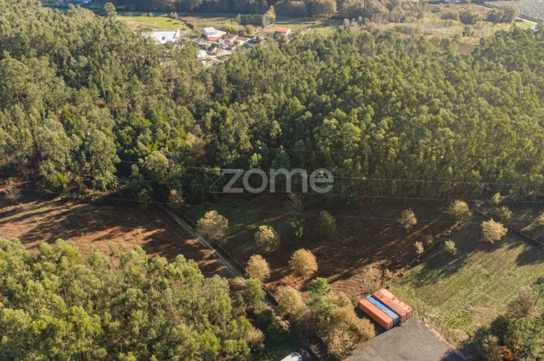 Terreno para Venda em Carvalhosa Foto 12