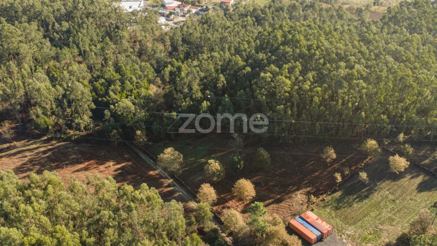 Terreno para Venda em Carvalhosa