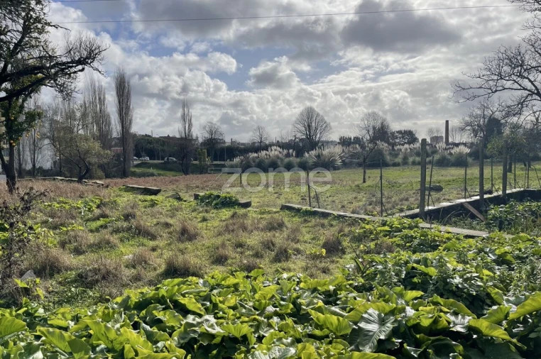 Terreno para Venda em Arrifana Foto 18