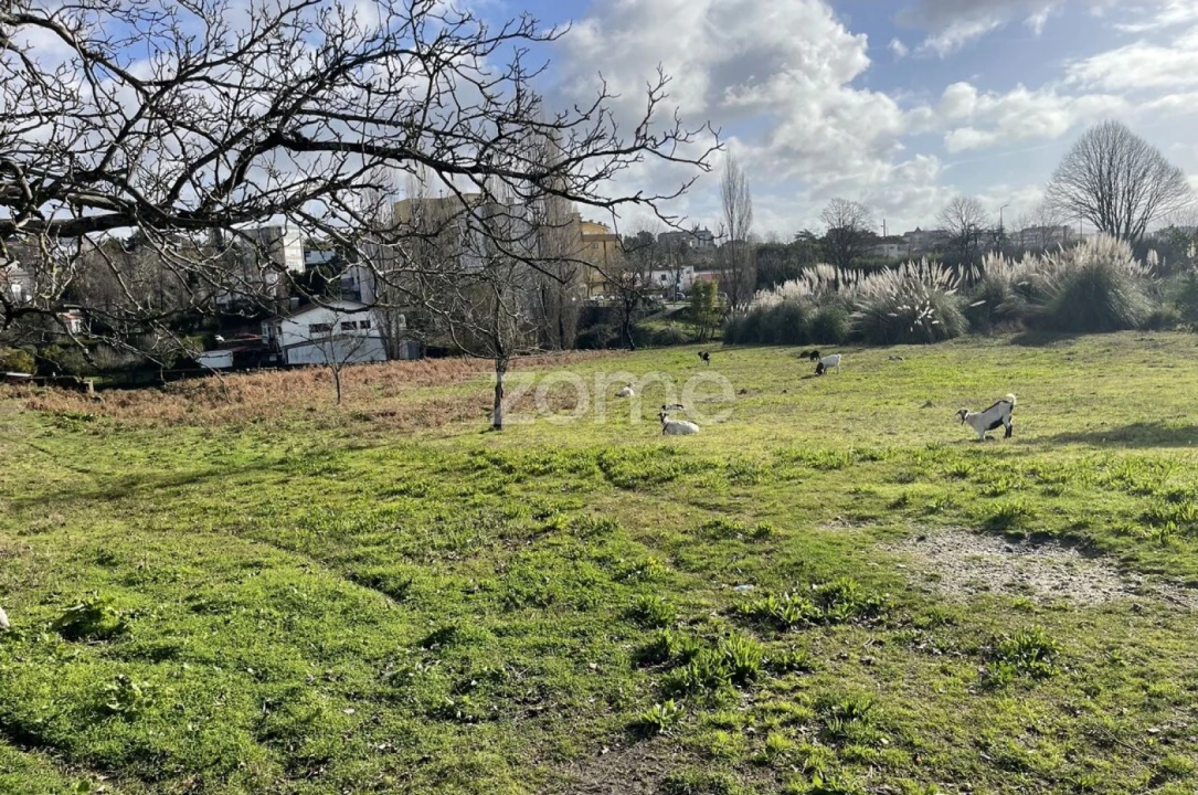 Terreno para Venda em Arrifana Foto 16
