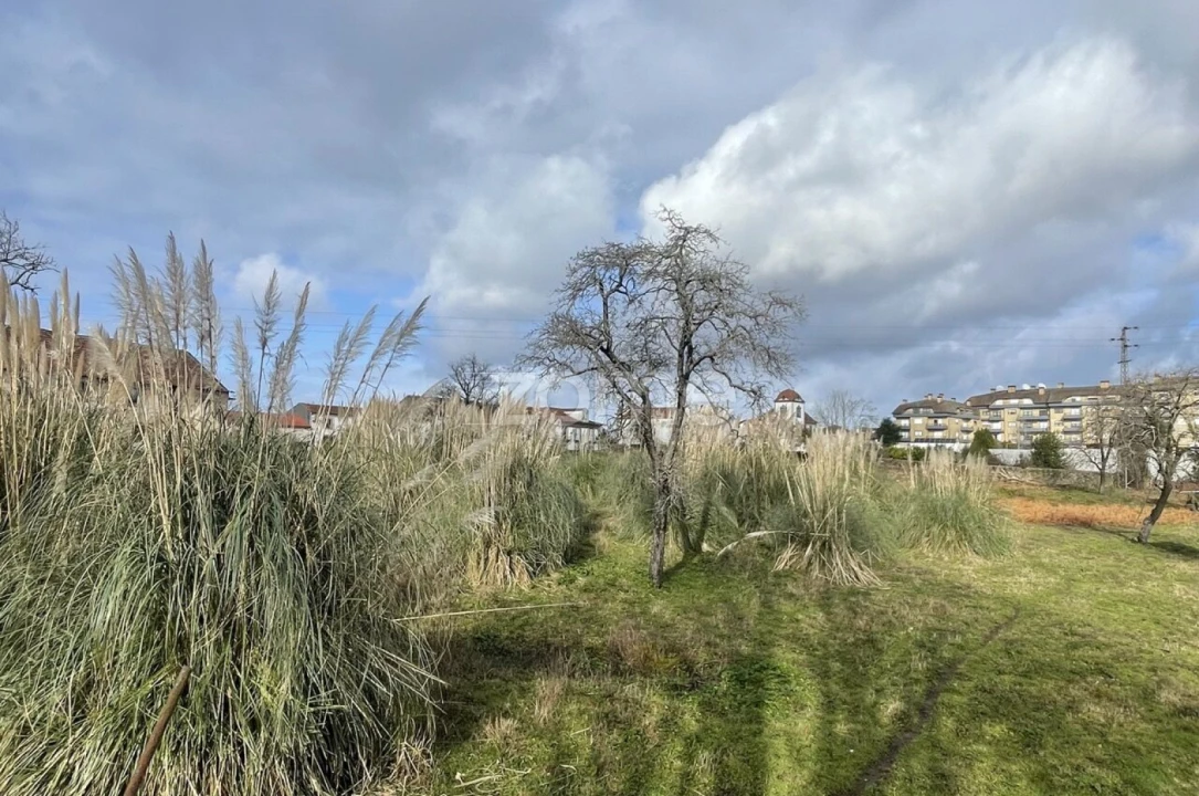 Terreno para Venda em Arrifana Foto 17