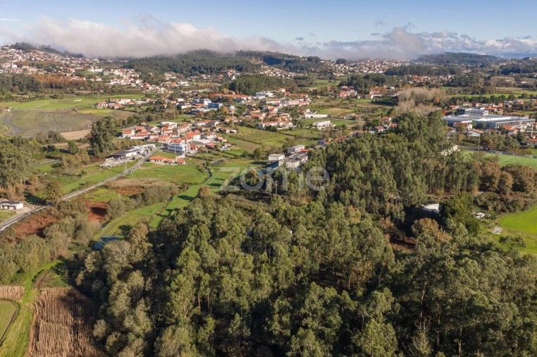 Terreno para Venda em Carvalhosa Foto 16