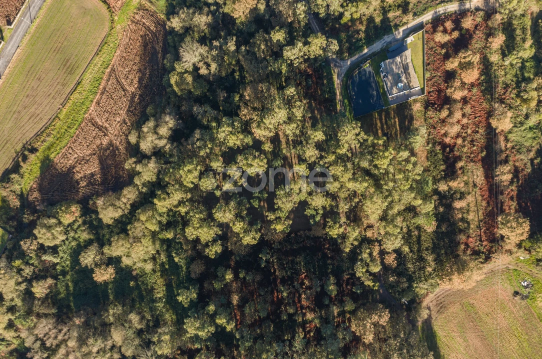 Terreno para Venda em Carvalhosa Foto 10