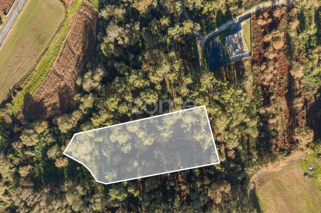 Terreno para Venda em Carvalhosa Foto 3