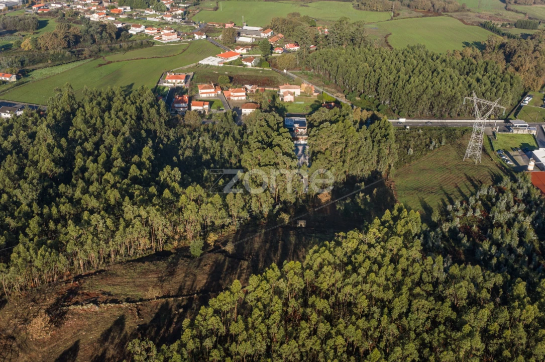 Terreno para Venda em Carvalhosa Foto 9