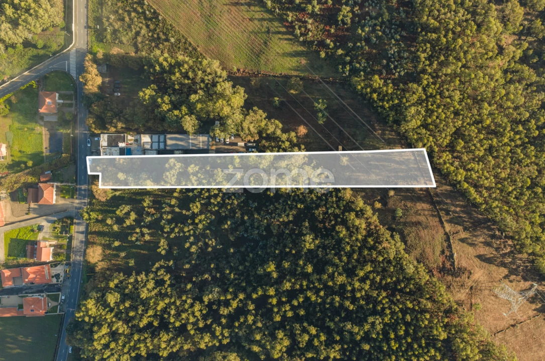 Terreno para Venda em Carvalhosa Foto 3