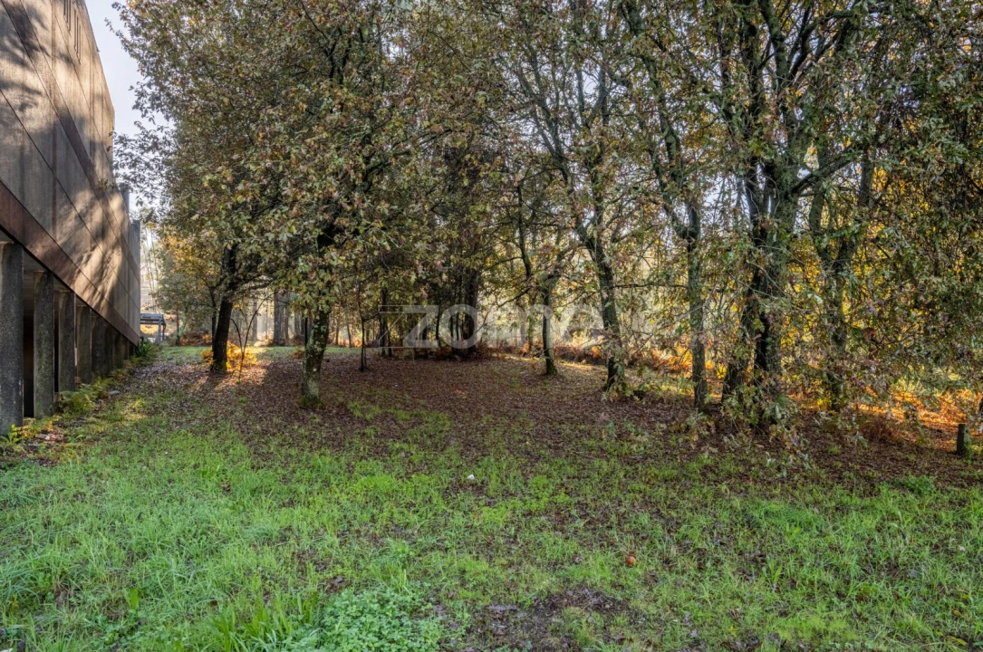 Terreno para Venda em Carvalhosa Foto 17