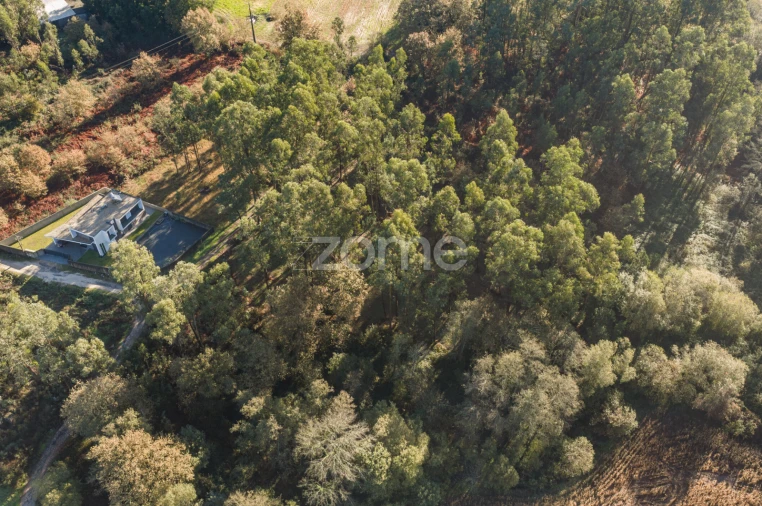 Terreno para Venda em Carvalhosa Foto 8