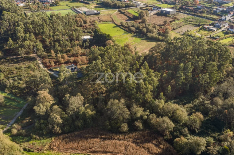 Terreno para Venda em Carvalhosa Foto 10