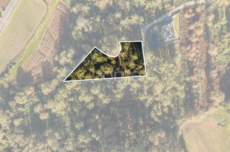 Terreno para Venda em Carvalhosa Foto 2