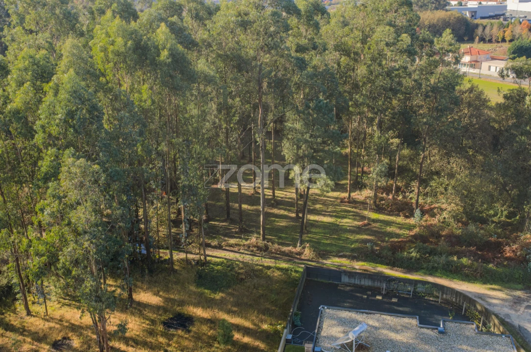 Terreno para Venda em Carvalhosa Foto 15