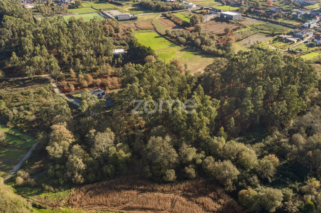 Terreno para Venda em Carvalhosa Foto 10