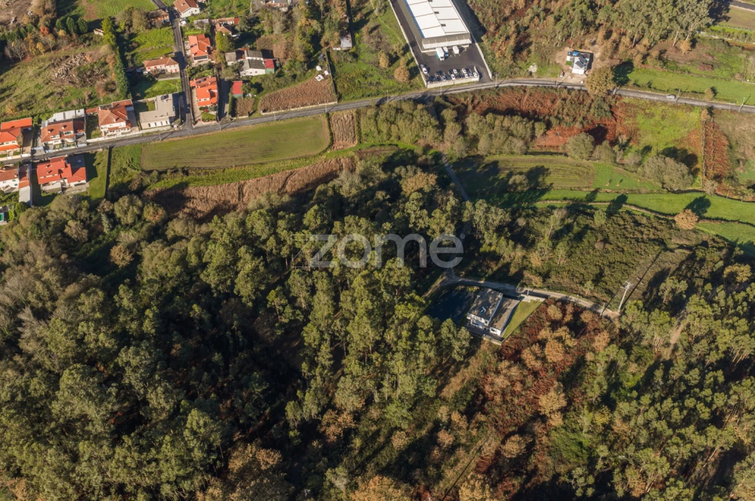 Terreno para Venda em Carvalhosa Foto 13