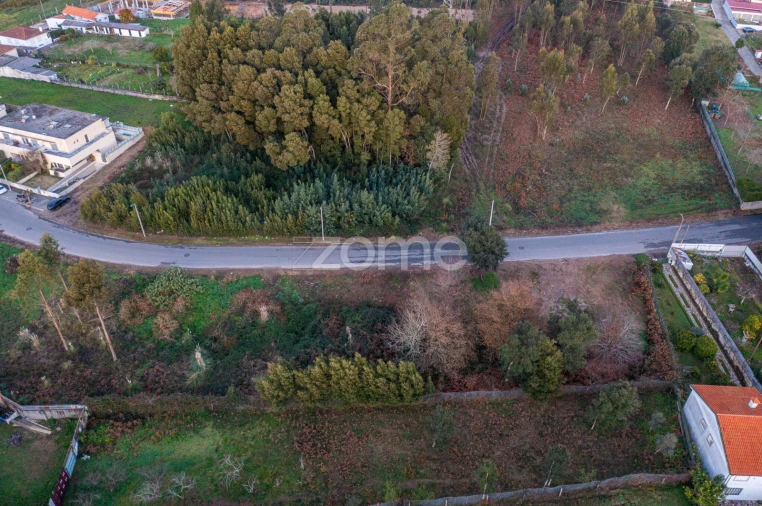 Terreno para Venda em Grijó e Sermonde Foto 21