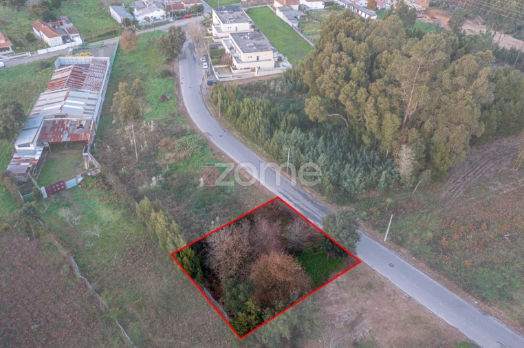 Terreno para Venda em Grijó e Sermonde Foto 6