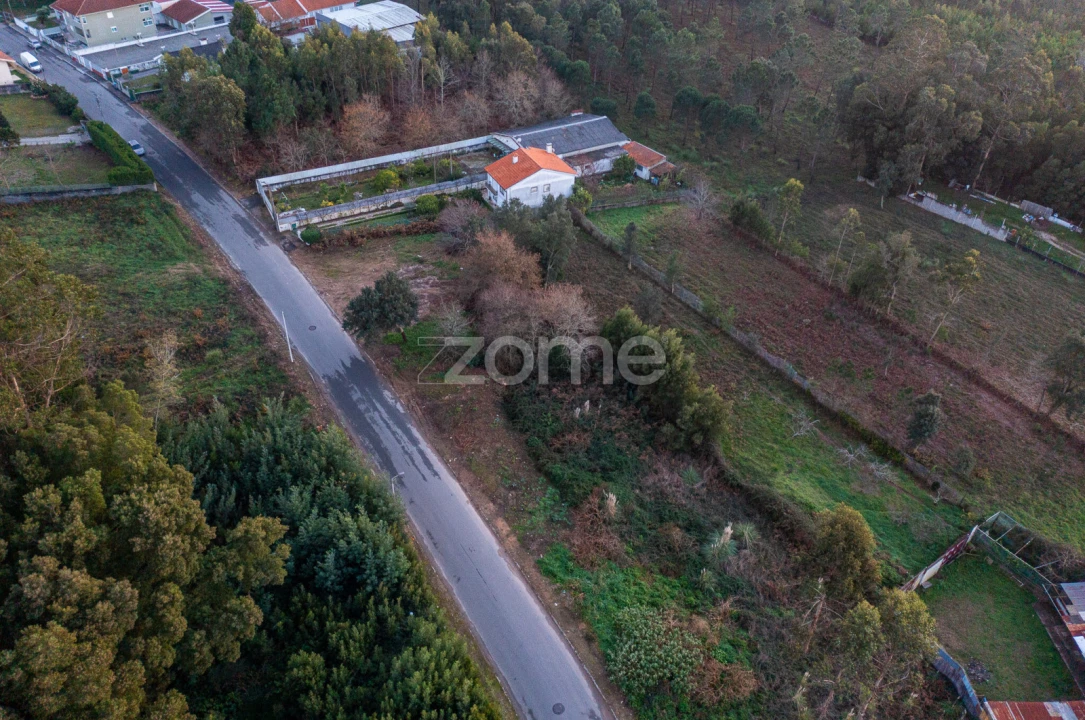 Terreno para Venda em Grijó e Sermonde Foto 18