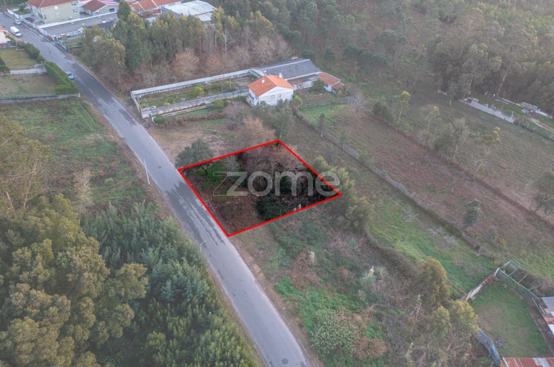 Terreno para Venda em Grijó e Sermonde Foto 5