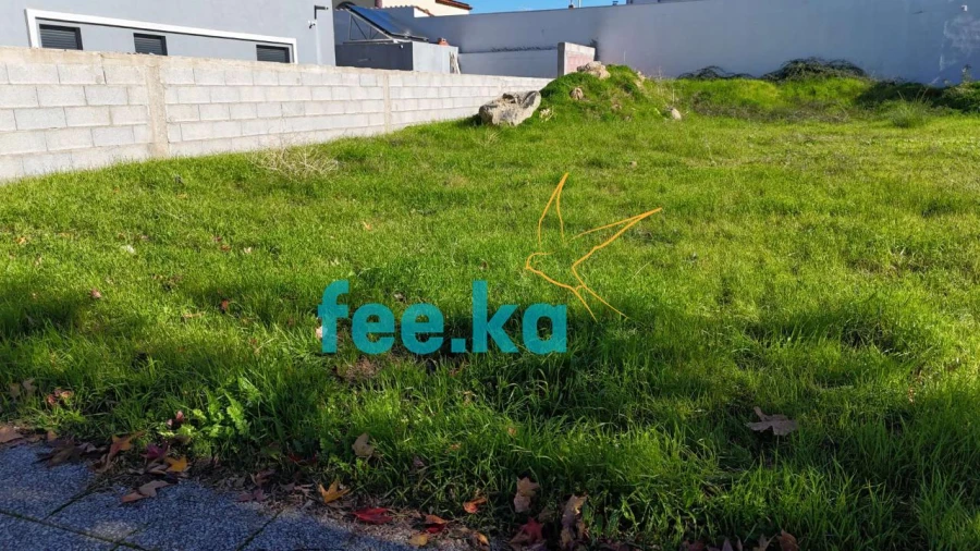 Terreno para Venda em Castelo Branco Foto 16