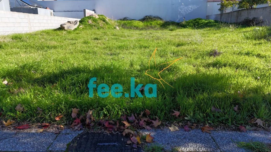 Terreno para Venda em Castelo Branco Foto 17