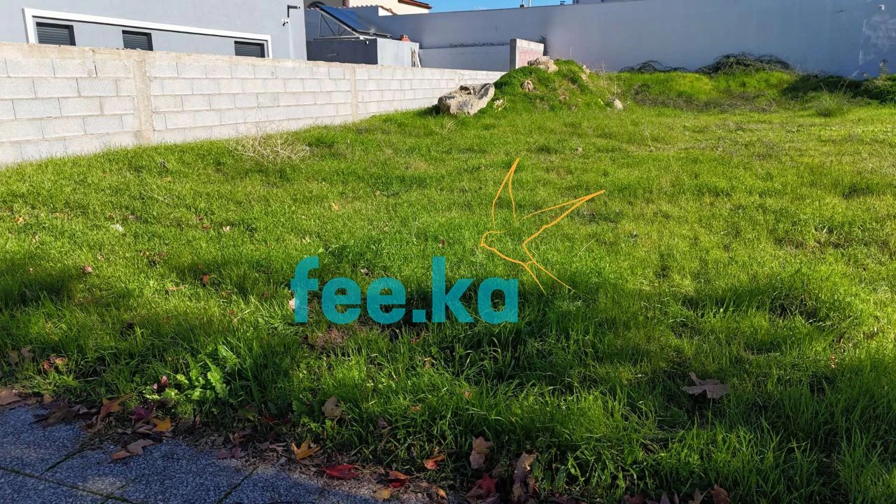 Terreno para Venda em Castelo Branco Foto 16