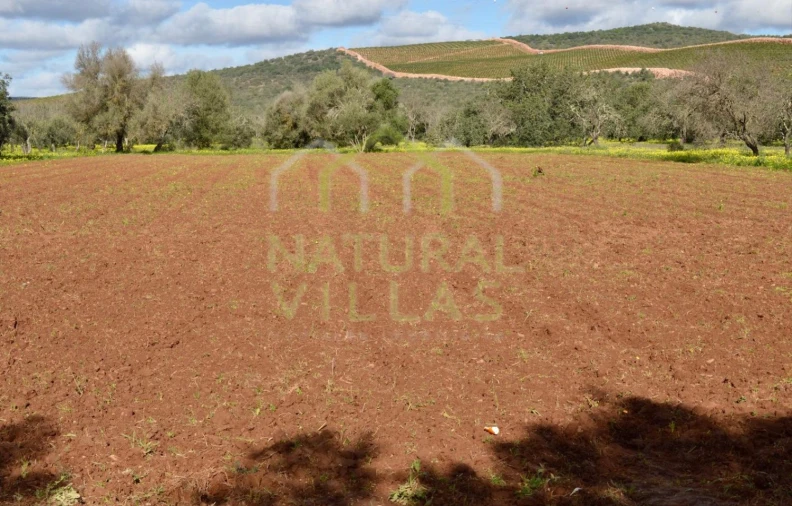 Terreno Agricola ou Rústico para Venda em Paderne Foto 2