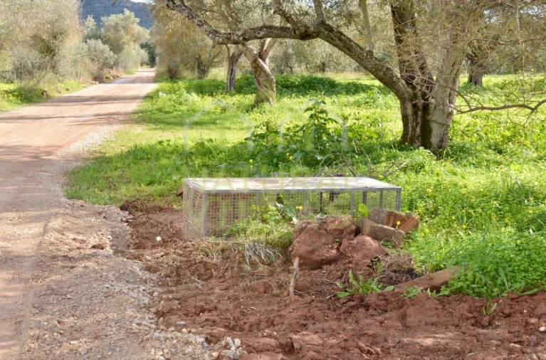 Terreno Agricola ou Rústico para Venda em Paderne Foto 3