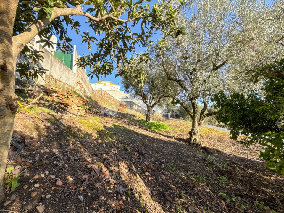 Moradia T3 para Venda em Vila Nova da Barquinha Foto 42