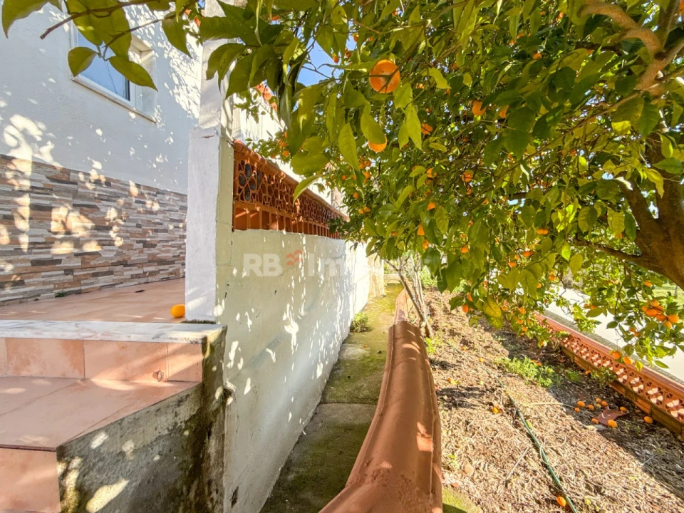 Moradia T3 para Venda em Vila Nova da Barquinha Foto 56