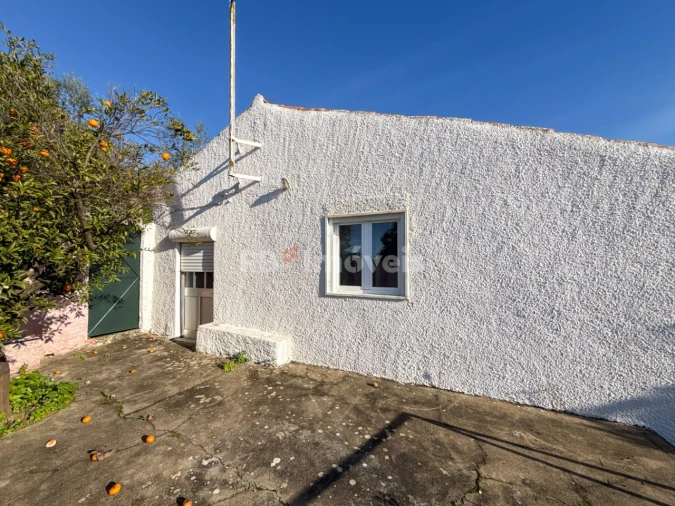 Moradia T3 para Venda em Vila Nova da Barquinha Foto 24