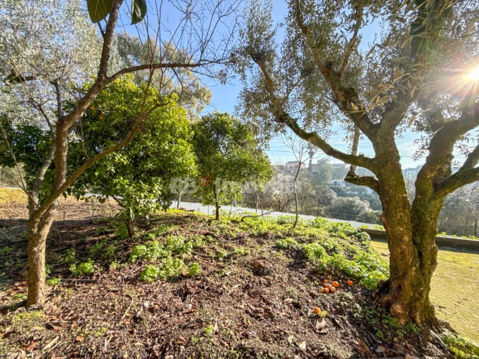 Moradia T3 para Venda em Vila Nova da Barquinha Foto 43