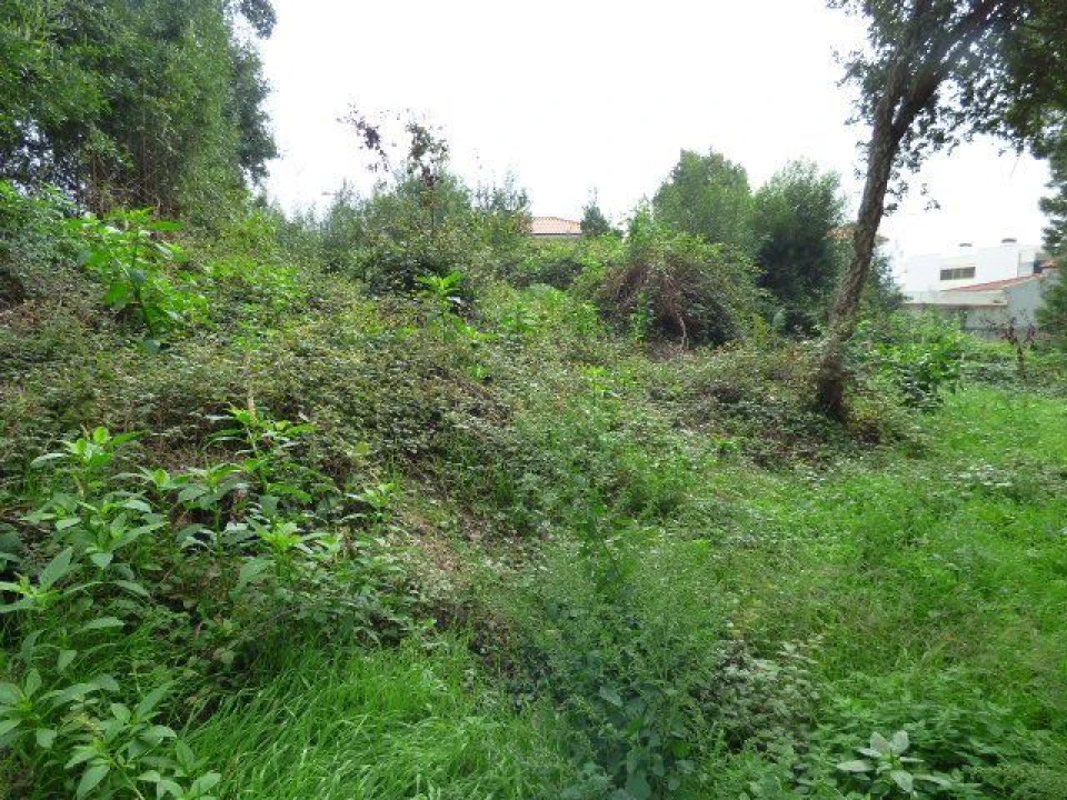 Terreno para Venda em Grijó e Sermonde Foto 4