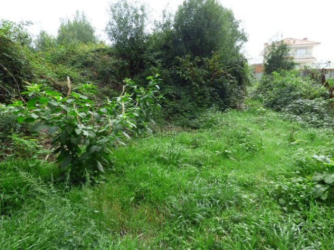 Terreno para Venda em Grijó e Sermonde Foto 5
