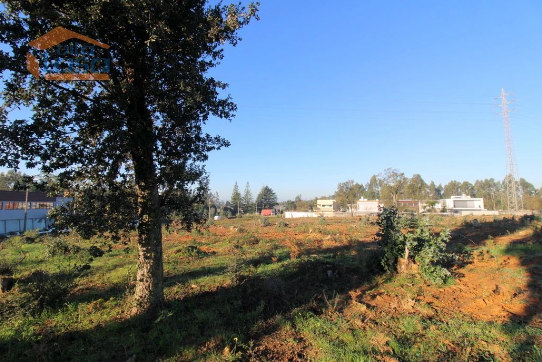Terreno P/ Prédio para Venda em Grijó e Sermonde Foto 16