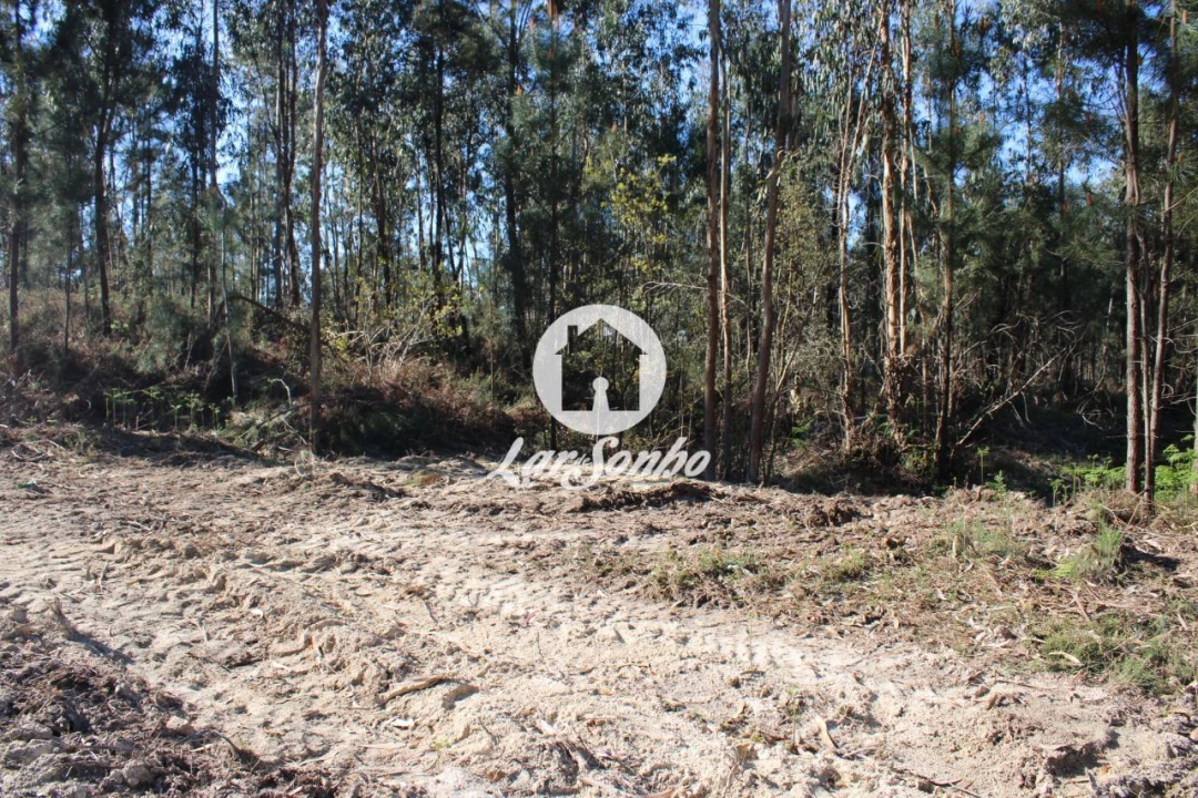 Terreno Agricola ou Rústico para Venda em Alvelos Foto 2