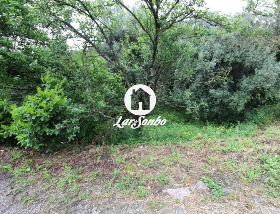 Terreno Agricola ou Rústico para Venda em Alvelos Foto 19