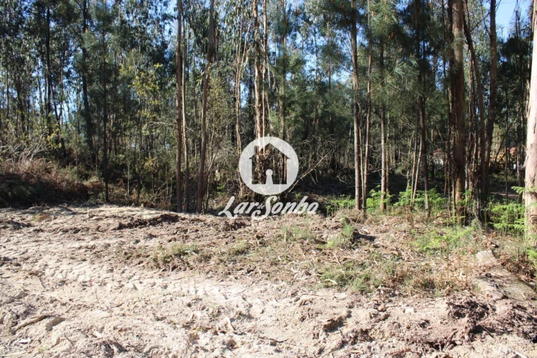 Terreno Agricola ou Rústico para Venda em Alvelos Foto 4