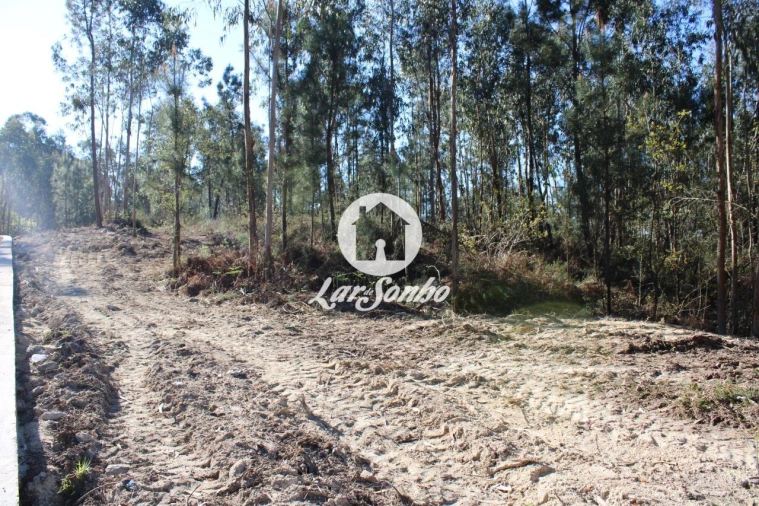 Terreno Agricola ou Rústico para Venda em Alvelos Foto 5