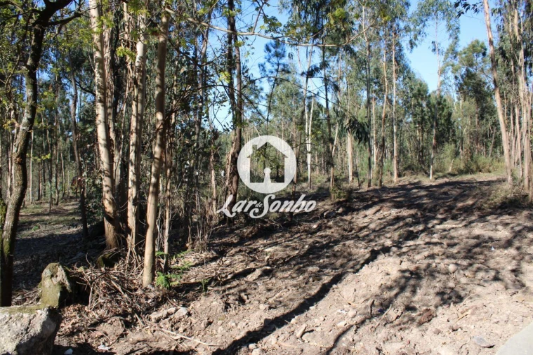 Terreno Agricola ou Rústico para Venda em Alvelos Foto 7