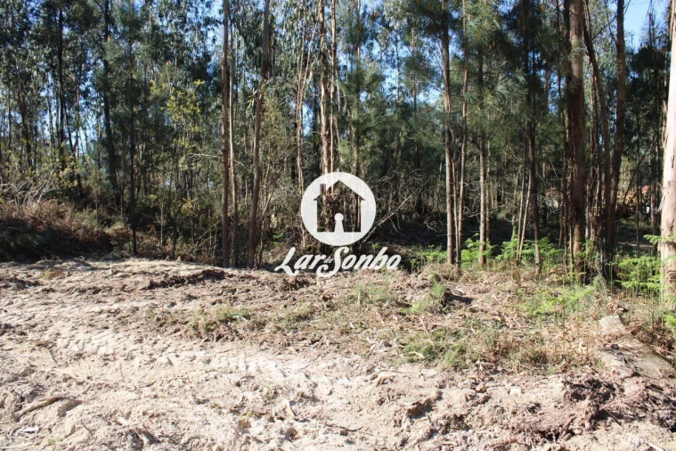 Terreno Agricola ou Rústico para Venda em Alvelos Foto 14