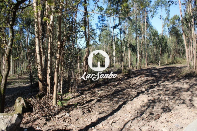 Terreno Agricola ou Rústico para Venda em Alvelos Foto 17