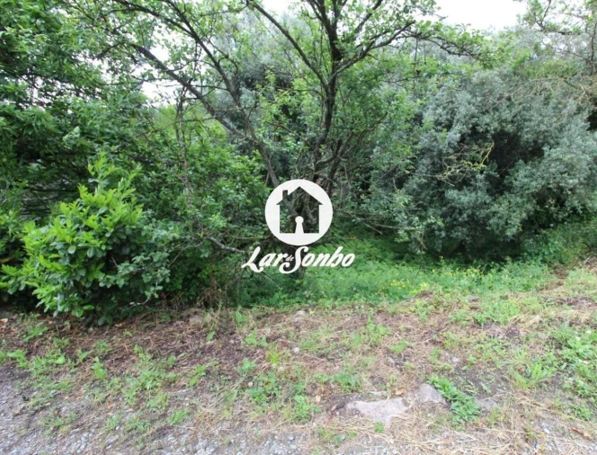 Terreno Agricola ou Rústico para Venda em Alvelos Foto 19