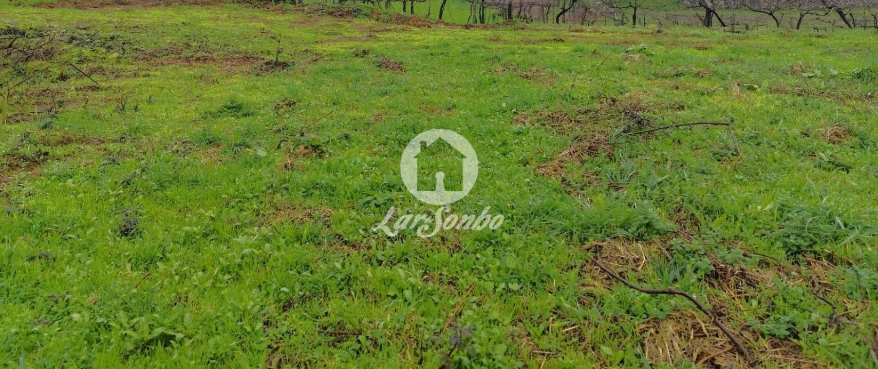 Terreno para Venda em Abade de Neiva Foto 2