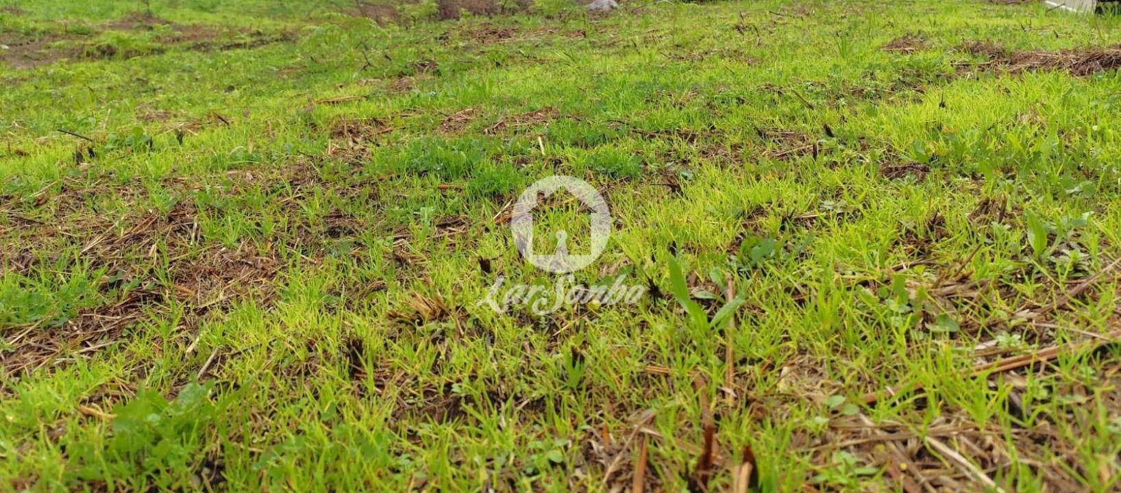Terreno para Venda em Abade de Neiva Foto 3