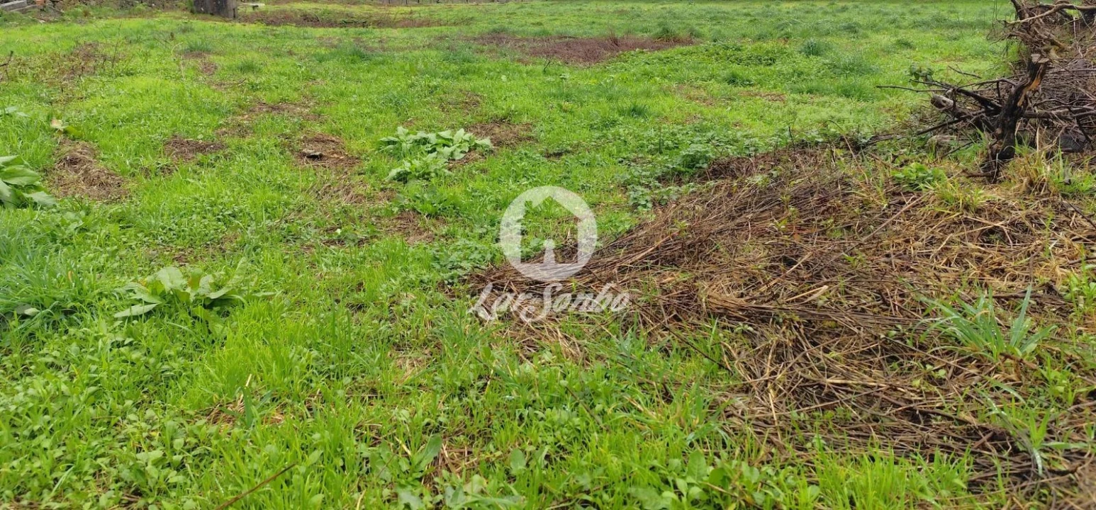 Terreno para Venda em Abade de Neiva Foto 5