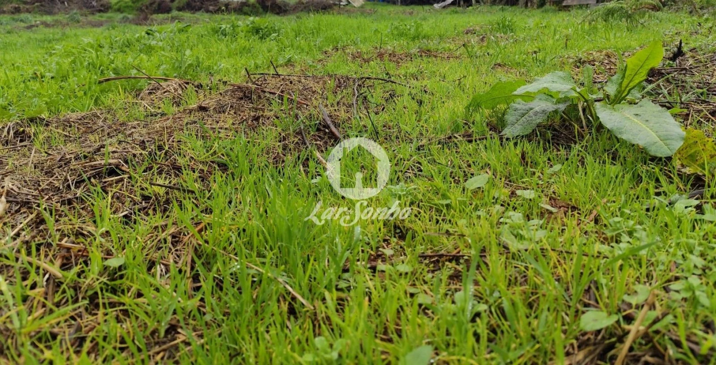 Terreno para Venda em Abade de Neiva Foto 9