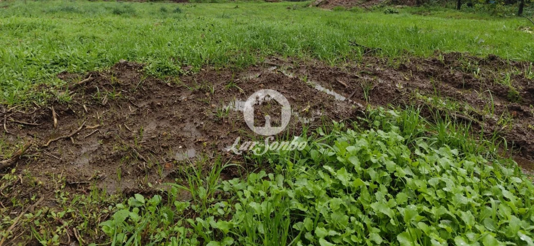 Terreno para Venda em Abade de Neiva Foto 1
